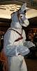 Furcon04-015.jpg