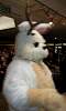 Furcon04-020.jpg